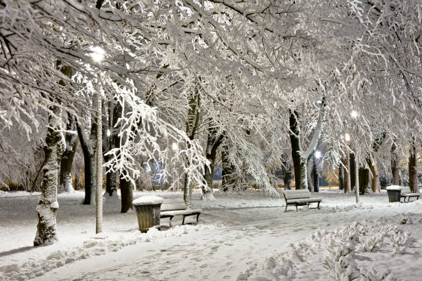 istock A snow-covered city park at night. Winter. 894000106