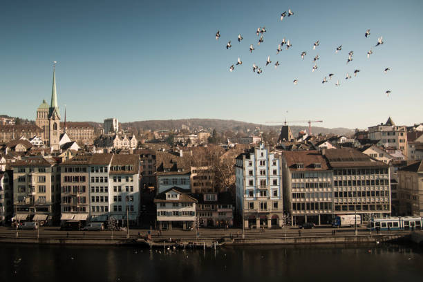 Zurich landscape with river Limmat and birds flying in a flock.