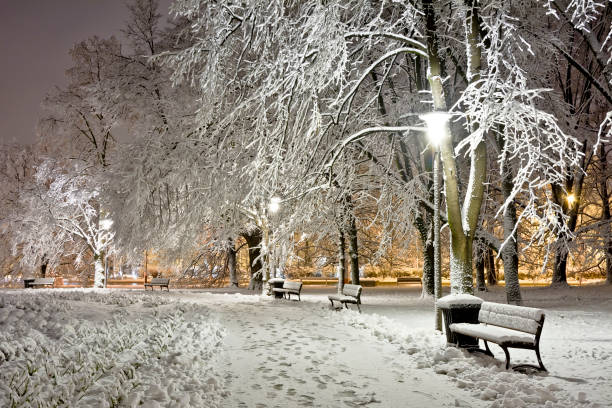istock A snow-covered city park at night. Winter. 894006726