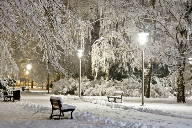 istock A snow-covered city park at night. Winter. 894006984