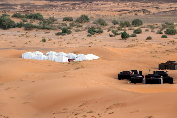 istock camping tents in sahara desert 894011404