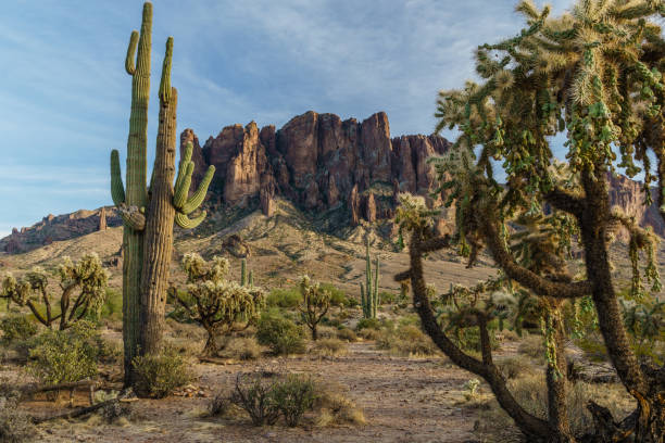 istock Sunset approaches the Arizona rugged desert 894011604