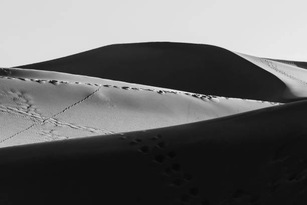 istock sand dune in desert in black and white 894011640