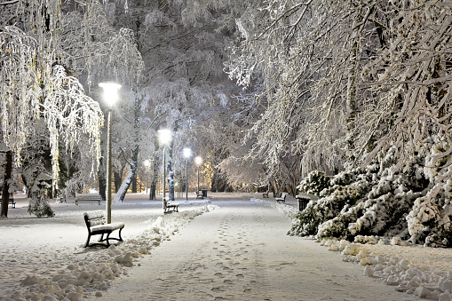 A snow-covered city park at night. Winter.