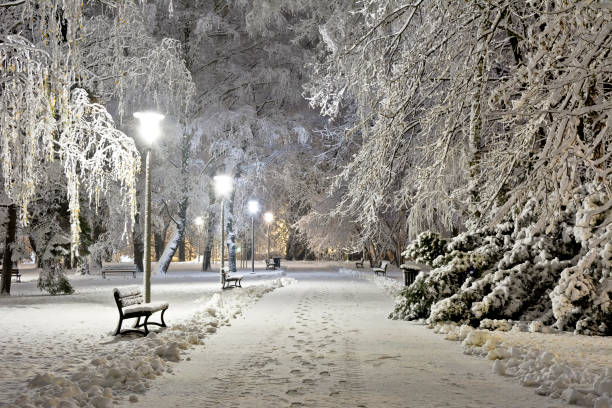 a snow-covered city park at night. winter. - snow winter bench park imagens e fotografias de stock