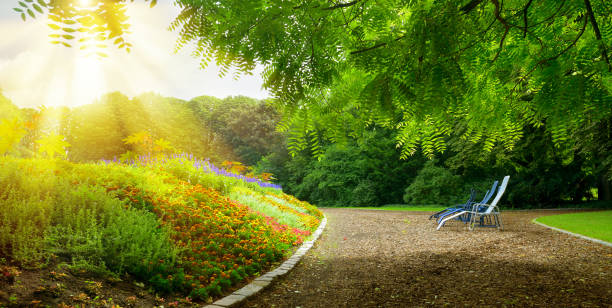 istock Colorful flower bed and place for rest 894021184