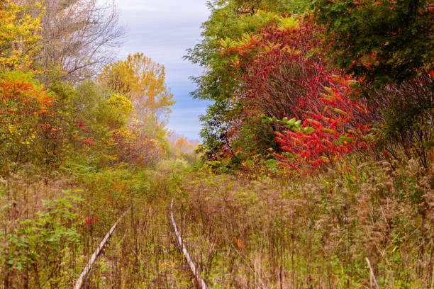 istock Off the beaten track in Hudson Quebec Canada. 894021202