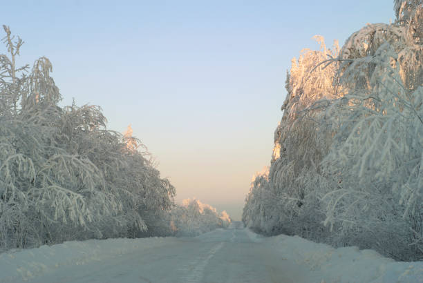 white landscape: winter icy road through the snow-covered forest