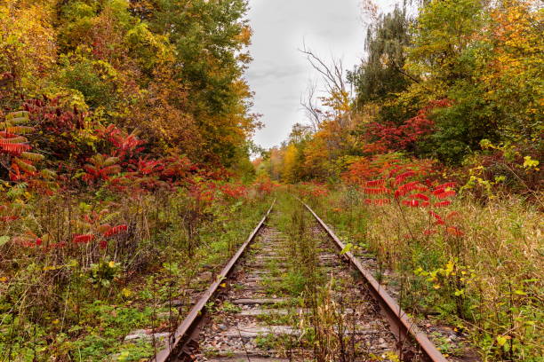 istock Off the beaten track in Hudson Quebec Canada. 894050626