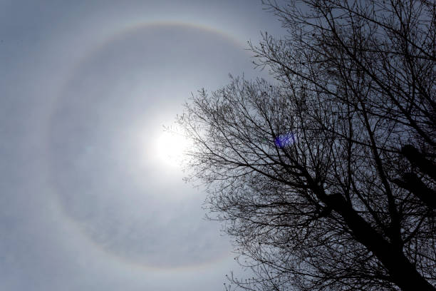 22 degree halo ring around the sun and a tree 22 degree halo on a sky and silhouette of a tree as foreground. earth's atmosphere stock pictures, royalty-free photos & images