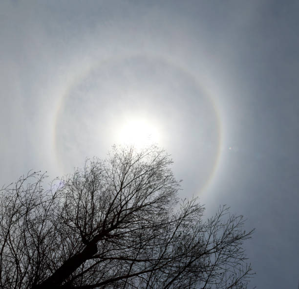 istock 22 degree halo ring around the sun and a tree 894058480