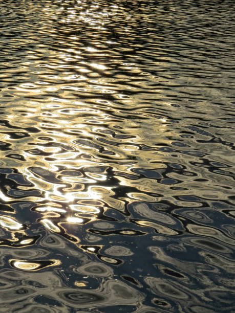 istock reflection on the surface of the lake 894063684