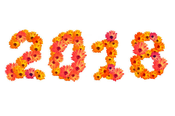 istock Numeral 2018 from  flowers, isolated on white background 894064066