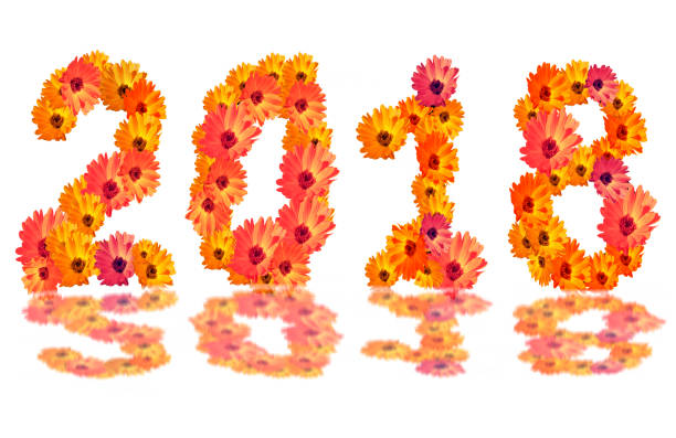 istock Numeral 2018 from  flowers, isolated on white background 894064080
