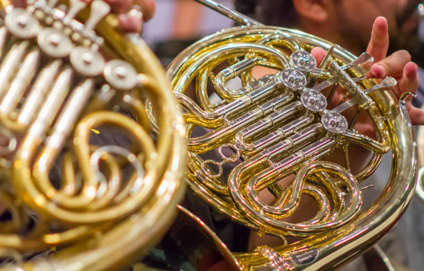 orchestra sinfonica che suona il corno francese durante l'esecuzione di spettacoli di concerti su un palco - symphonic foto e immagini stock