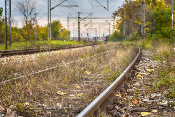 fotografía de un tren en serbia - flower red poppy sky fotografías e imágenes de stock