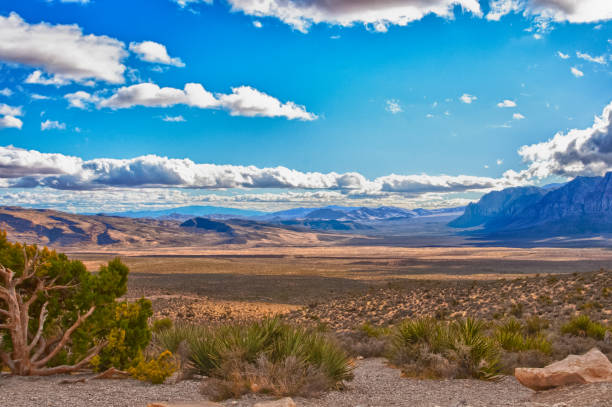 istock Desert landscape in  Nevada, USA. 894097278