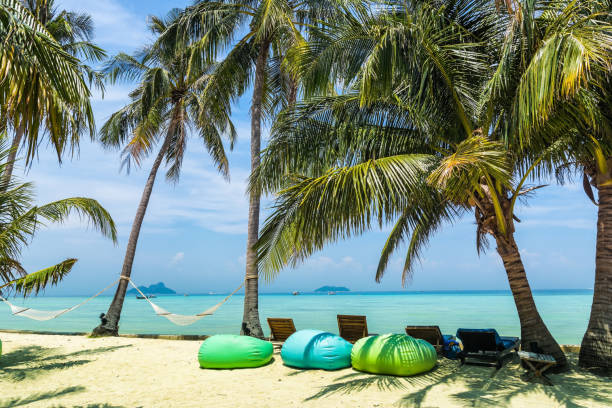 Amazing view of beautiful beach with palm trees, armchair-pears, chaises and transparent turquoise water. A great place to relax. Location: Ko Phi Phi Don island, Krabi province, Thailand, Andaman Sea. Artistic picture. Beauty world. impresionante vista de la hermosa playa con palmeras, sillón-peras, sombrillas y agua azul turquesa transparente. un lugar ideal para relajarse. ubicación: isla de ko phi phi don, krabi, tailandia, la provincia mar de andamán. cuadro artístico. mundo de la belleza.