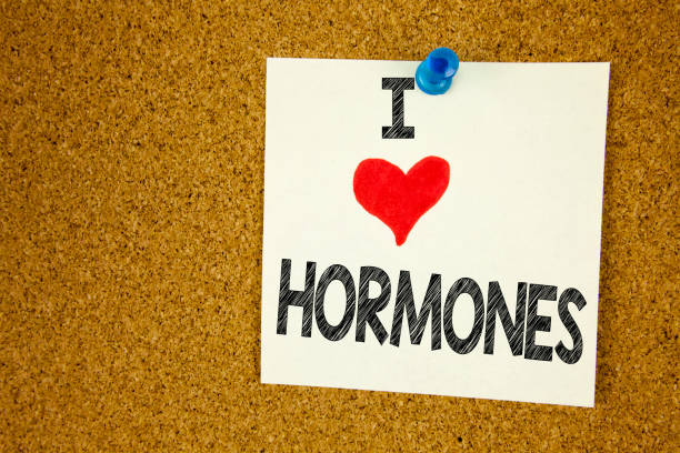 istock Hand writing text caption inspiration showing I Love Hormones concept meaning Hormone Pill Loving written on sticky note, reminder isolated background with copy space 894101026