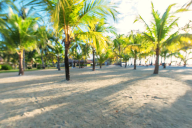 tropikalny ośrodek raj plaża abstrakcyjne tło - polynesia bungalow beach sunrise zdjęcia i obrazy z banku zdjęć