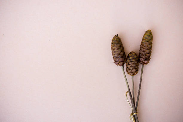 istock Hay flowers on the background vintage style decor and copy space 894108190