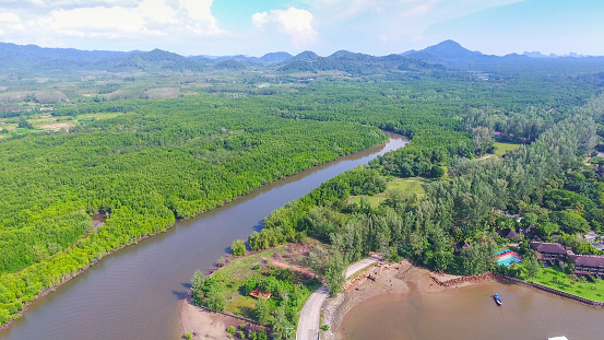 Aerial view of mangrove forest and sea at trang province, Thailand ,