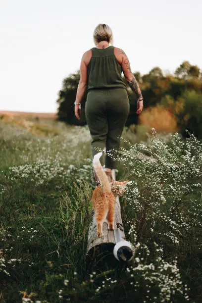 Photo of A cat following it's owner in a farm