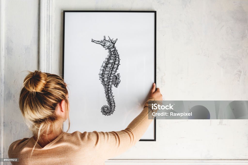 Photo of hand drawing seahorse is hanging on the wall Hanging Stock Photo