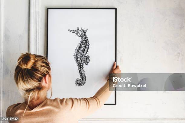 Photo Of Hand Drawing Seahorse Is Hanging On The Wall Stock Photo - Download Image Now