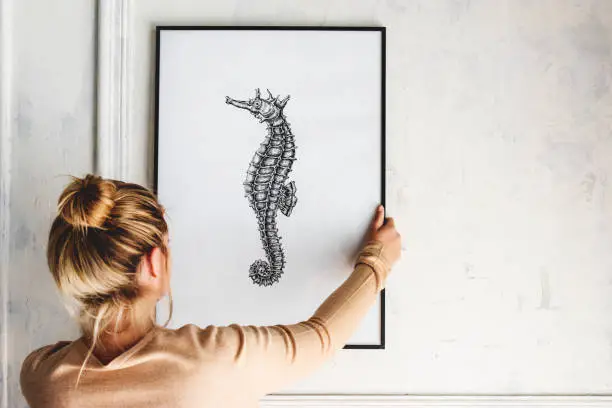 Photo of Photo of hand drawing seahorse is hanging on the wall