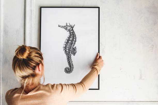 photo of hand drawing seahorse is hanging on the wall - home decorating fotos imagens e fotografias de stock