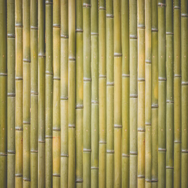 istock Wood bamboo fence pattern and seamless background 894125600