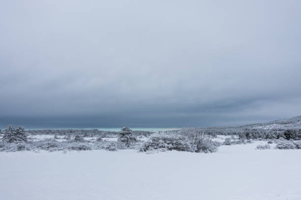 istock Beautiful Winter landscape with snow covered trees. 894132444