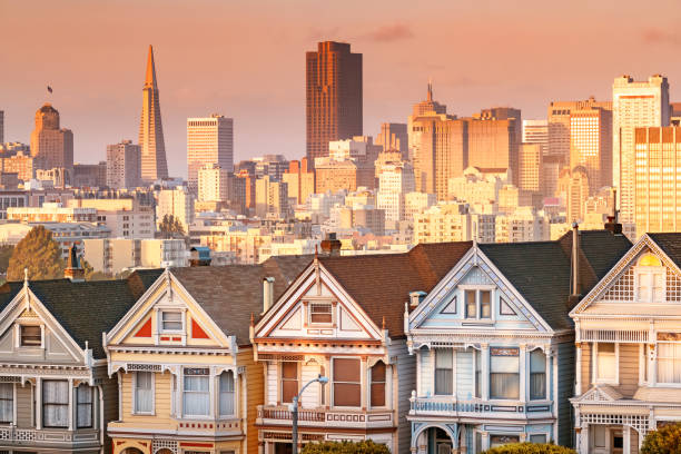 istock Painted Ladies and San Francisco skyline 894141146
