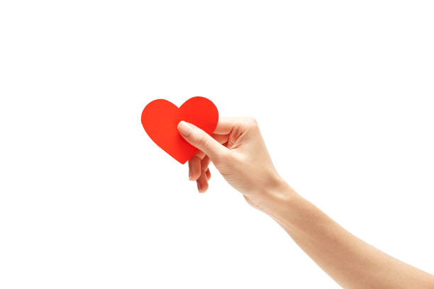 istock red paper heart in hand isolated on white 894160878