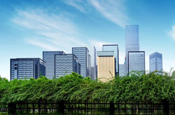 istock China Chongqing skyscrapers 894165546