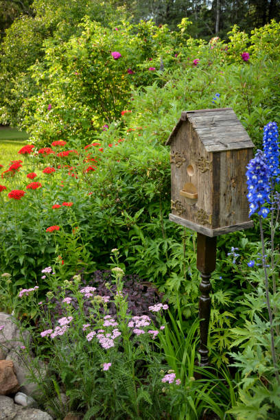 istock Rustic birdhouse and flowers in garden 894166370