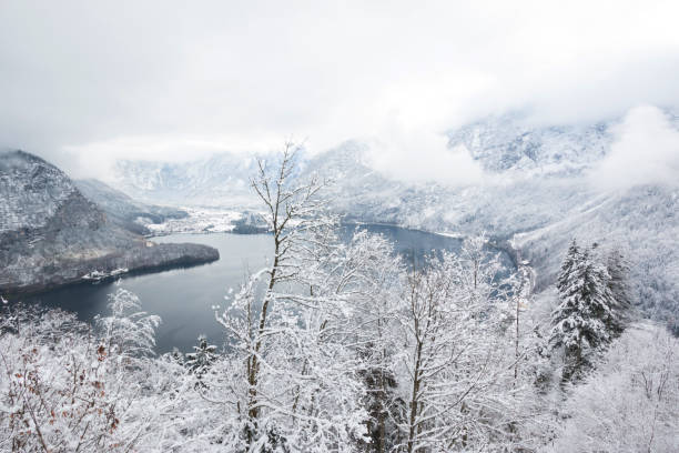istock Lagoon view in Hallstatt hesitage city 4000 894169030