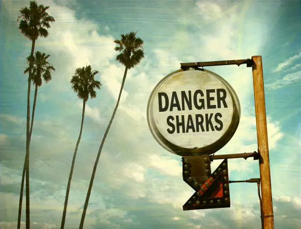 Photo of danger sharks sign