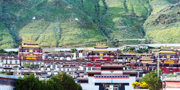 istock Potala Palace in Tibet 894172044