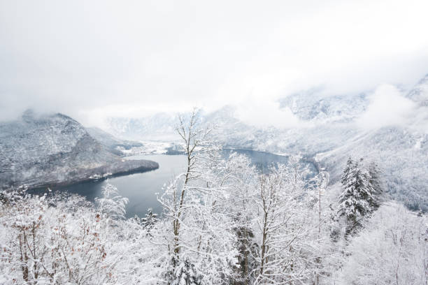 istock Lagoon view in Hallstatt hesitage city 894172090