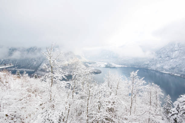 istock Lagoon view in Hallstatt hesitage city 894172130