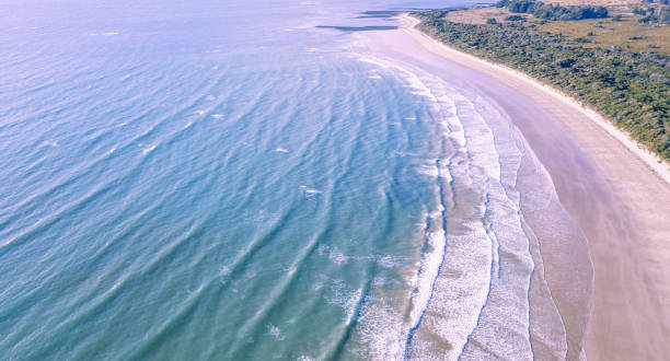 greens beach from above, located near launceston, tasmania - launceston imagens e fotografias de stock