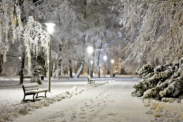 夜の雪に覆われた都市公園。冬。 - snow winter bench park ストックフォトと画像