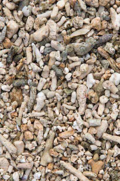 istock View to the Kabira tabagar beach (Ishigaki Island) 894194558