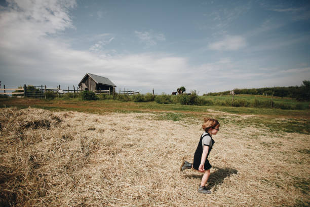 istock Little girl playing in a farm 894194586