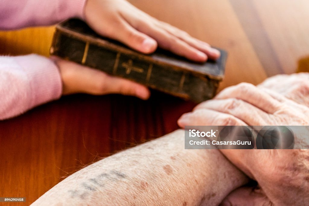 Close Up Hands Of Great Grandmother Showing Old Holy Bible Close Up Hands Of Great Grandmother With  Auschwitz Concentration Camp Number Showing Old Holy Bible Holocaust Stock Photo