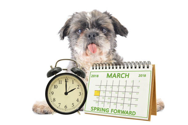 Spring Forward 2018 stock photo