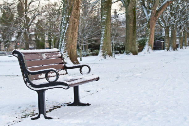 istock Park bench covered in snow. Winter snow 894305528