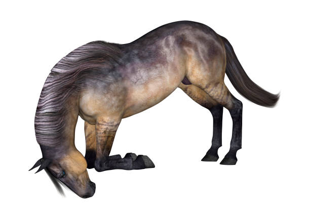 3D digital render of a grulla horse isolated on white background
